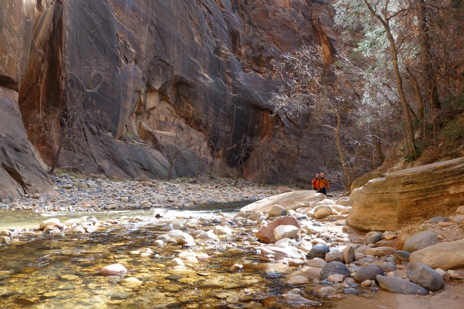 The Narrows hike i Zion National Park