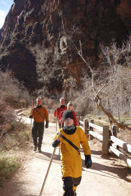 Vandrestien langs Virgin River