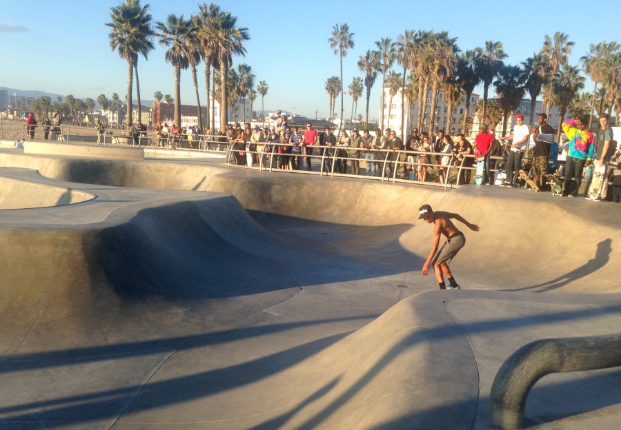 Venice Skate Park