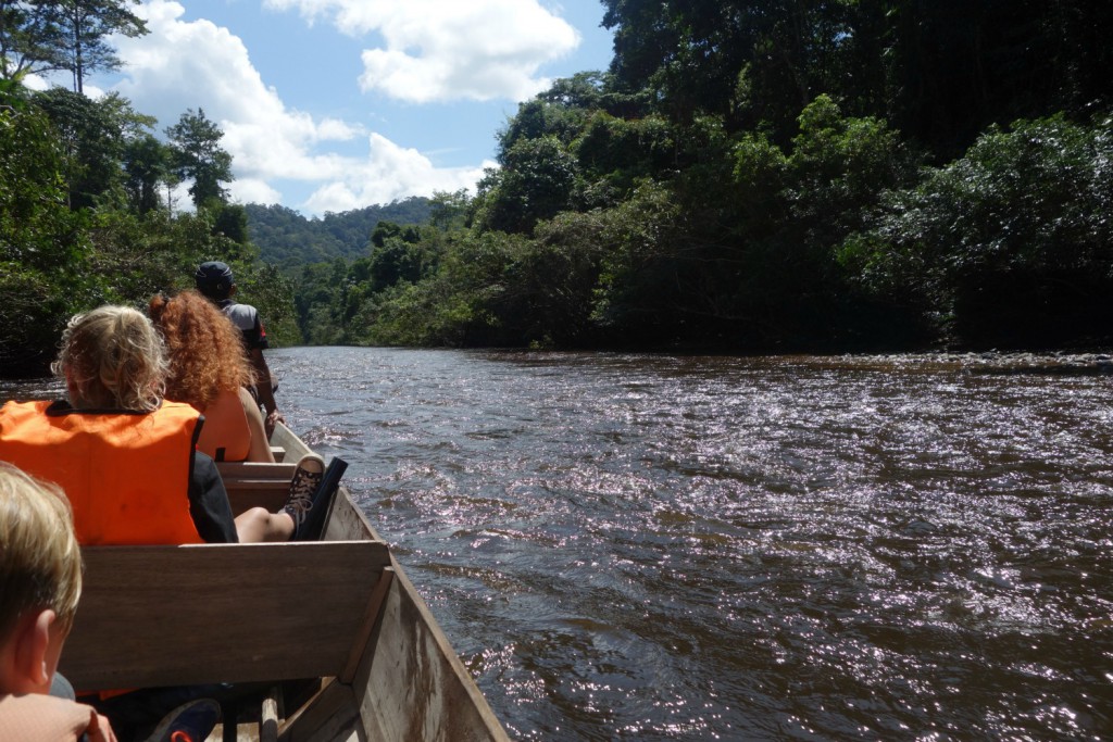 Bådtur ind i Taman Negara National Park