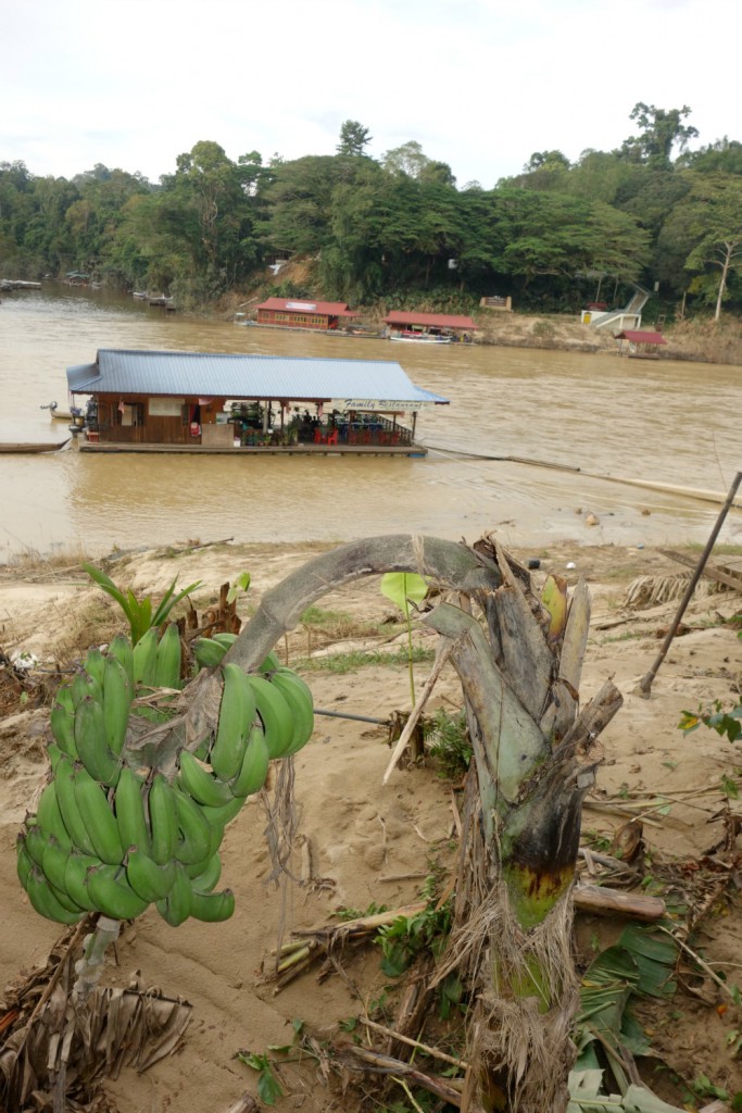 Family Restaurant Kuala Tahan