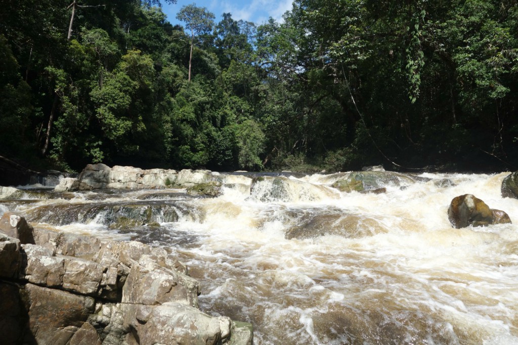 Lata Berkoh i Taman Negara National Park