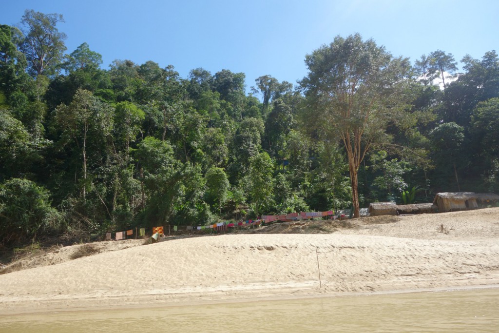 Orang Asli village i Taman Negara