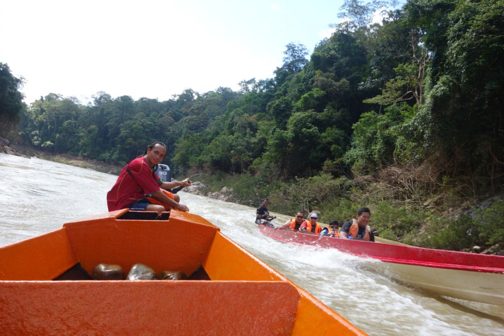 Rapid shooting in Taman Negara