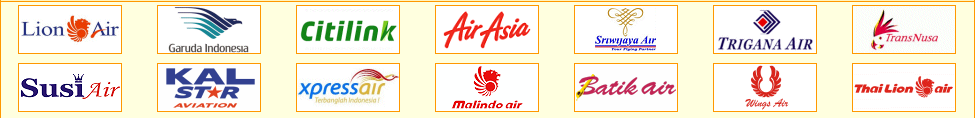 Indenrigsfly i Indonesien