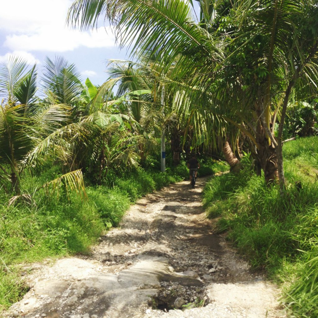 Cykeltur i Ubud