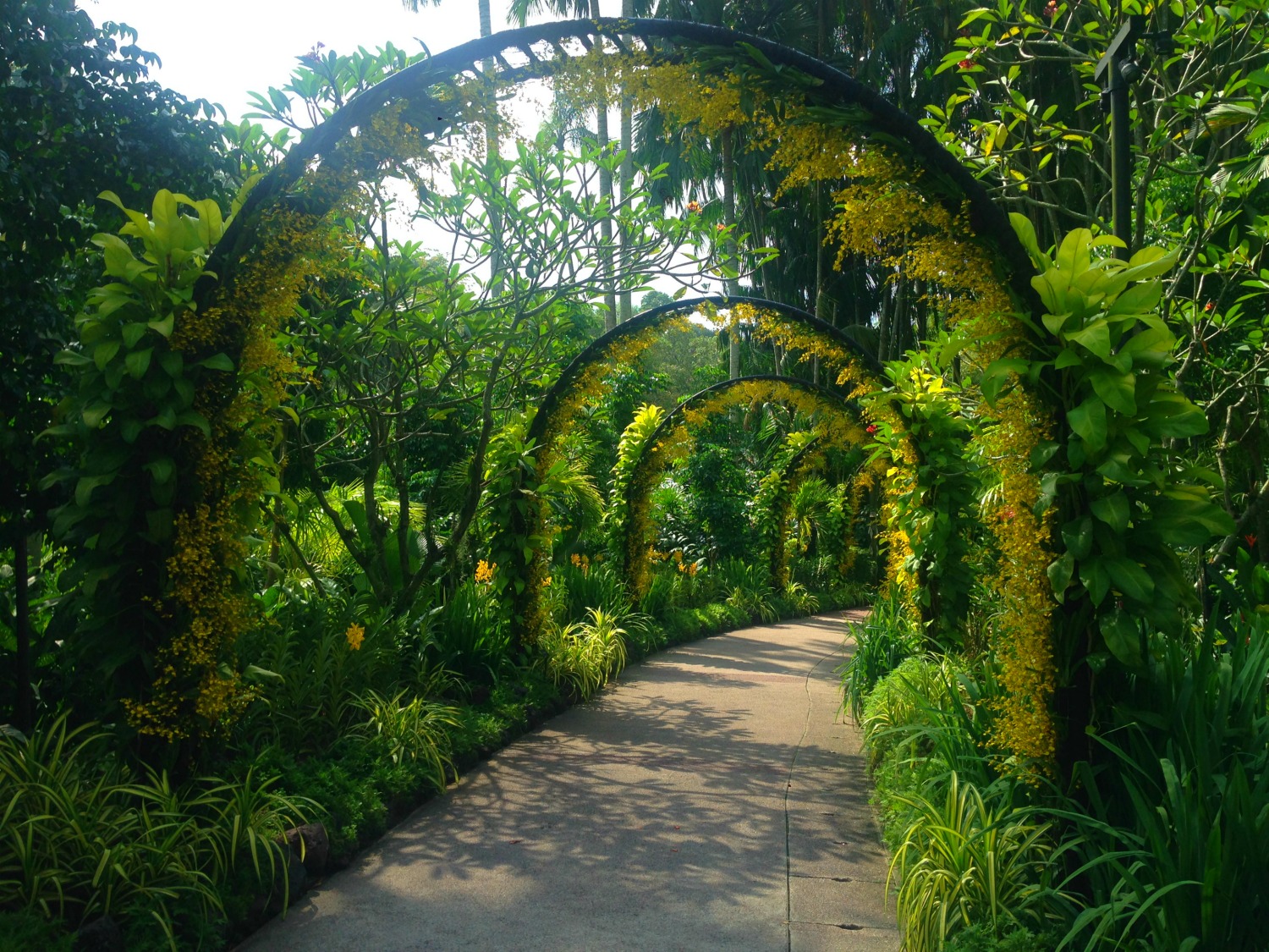 Blomsteralle i Botanisk Have