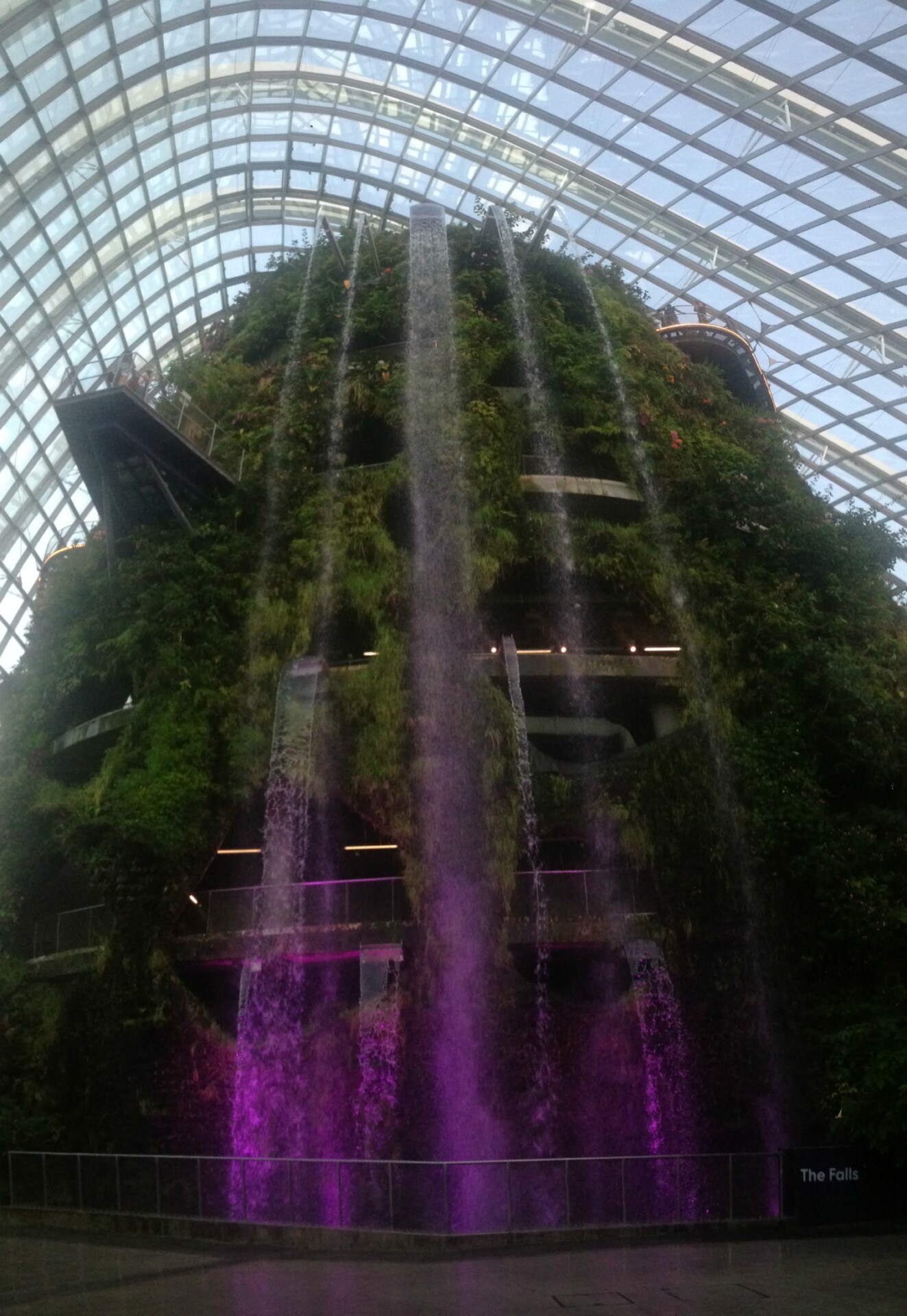 Cloud Forest vandfald