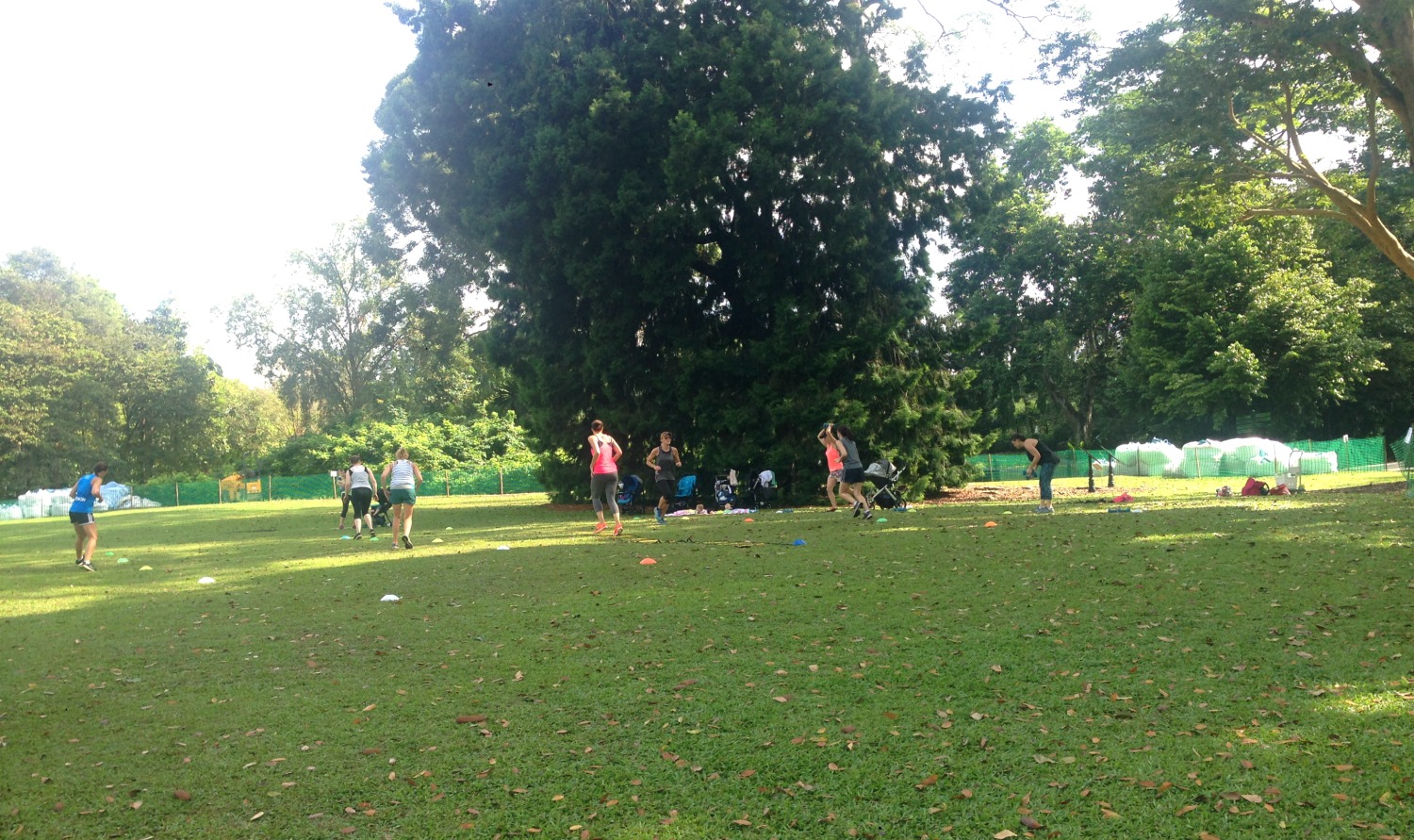 Mødregruppe morgengymnastik i Botanisk Have