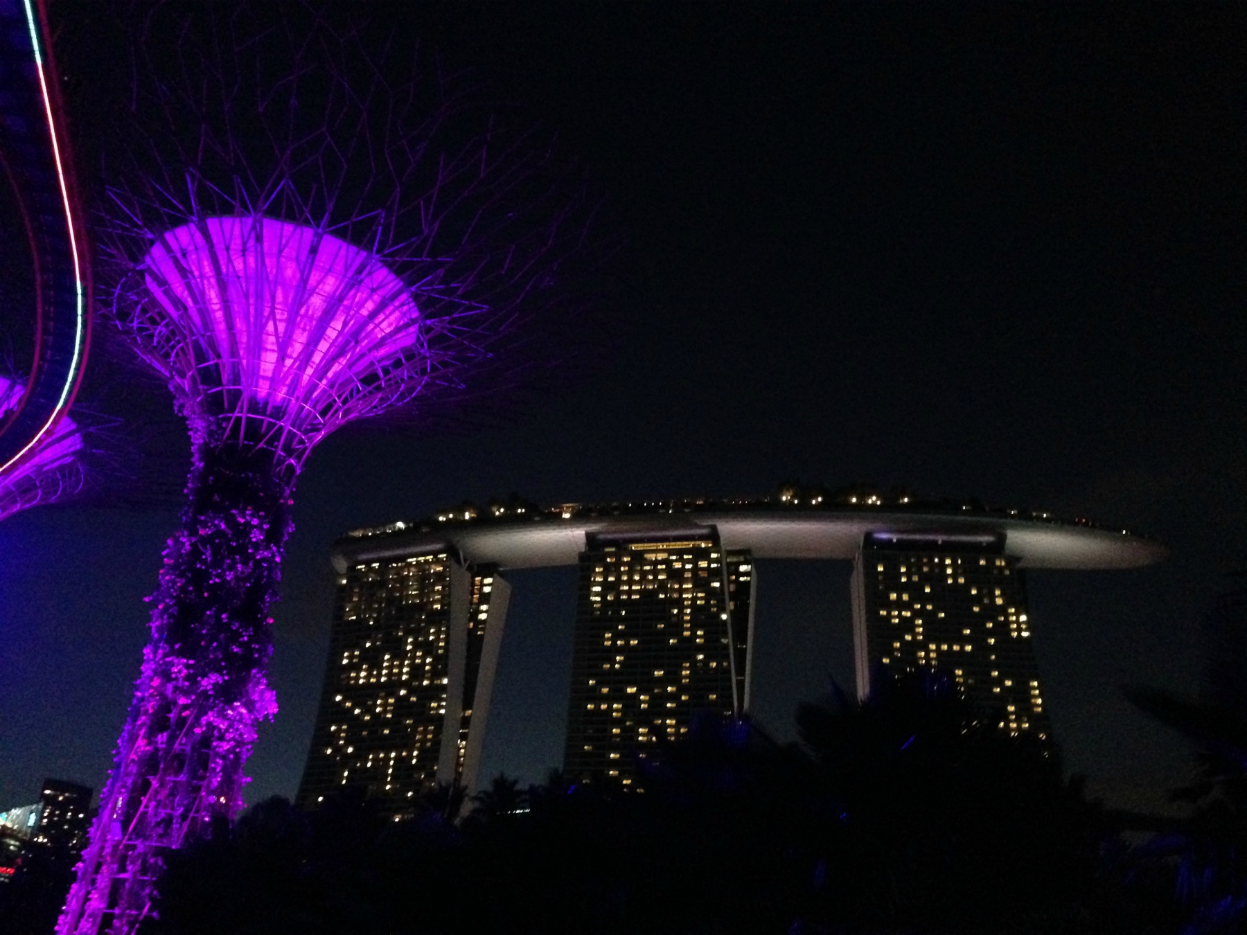 Supertree Grove and Hotel Marina By Sands