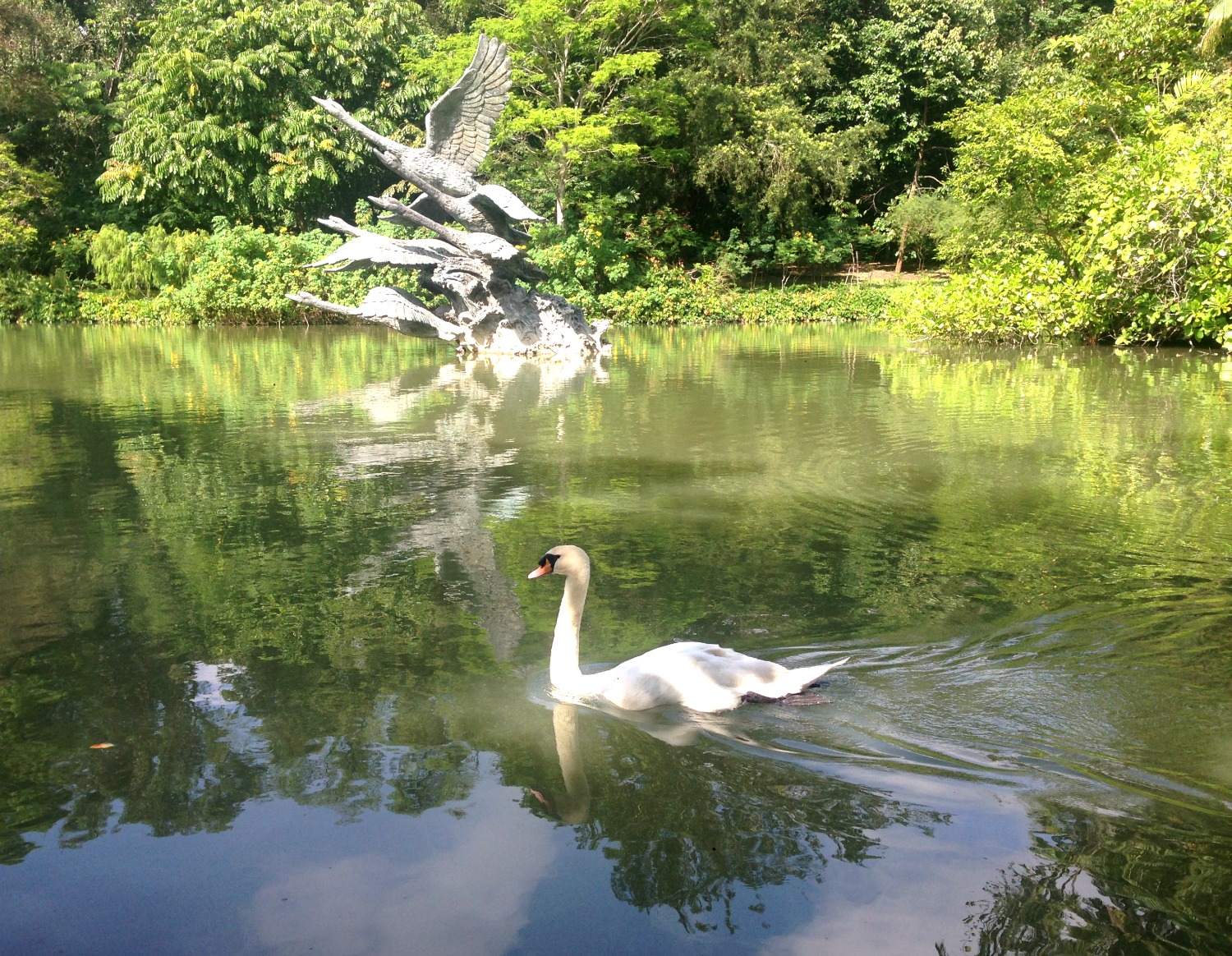 Svanesøen i Botanisk Have