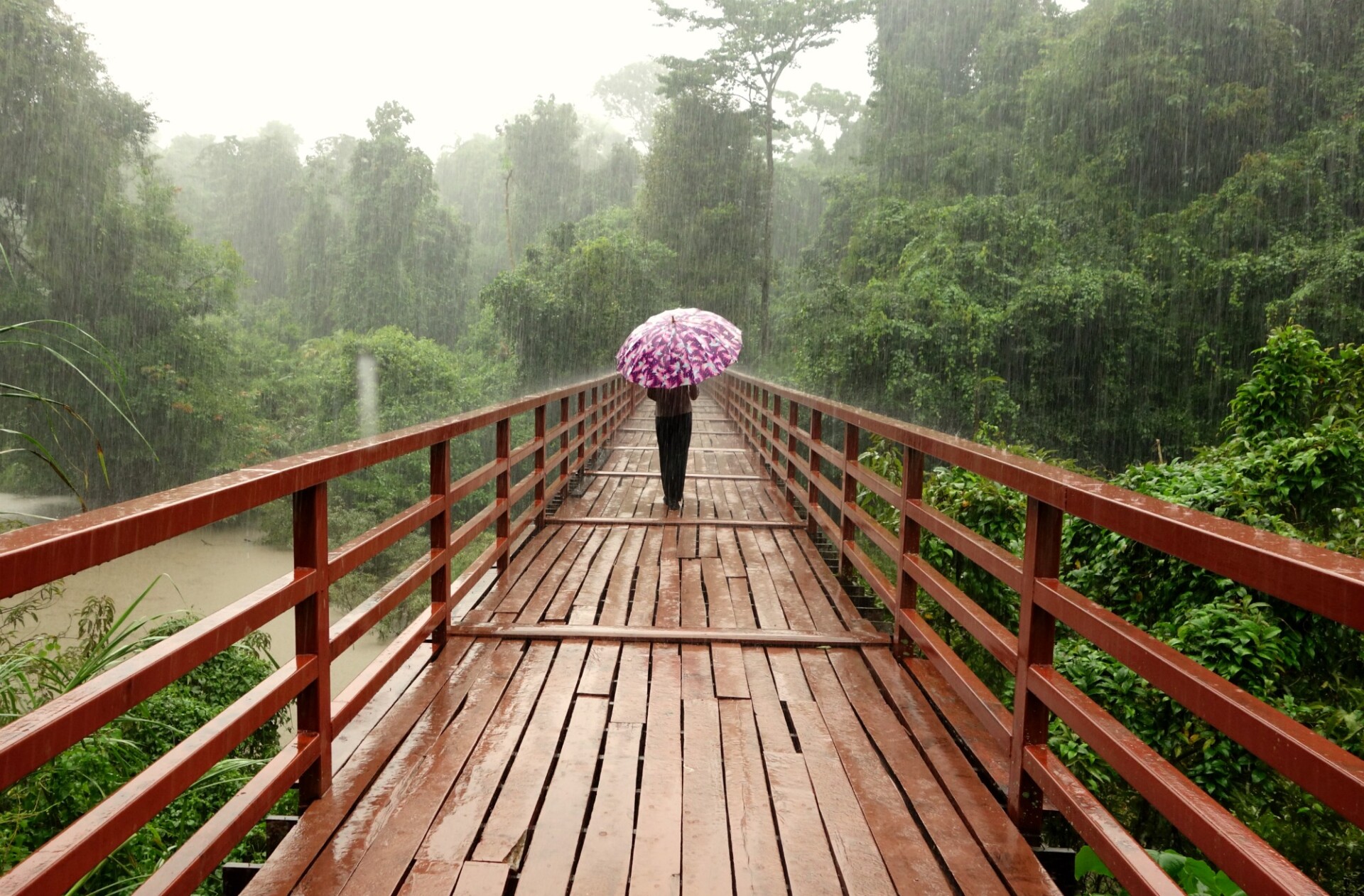 Hvornår er der regntid og monsun