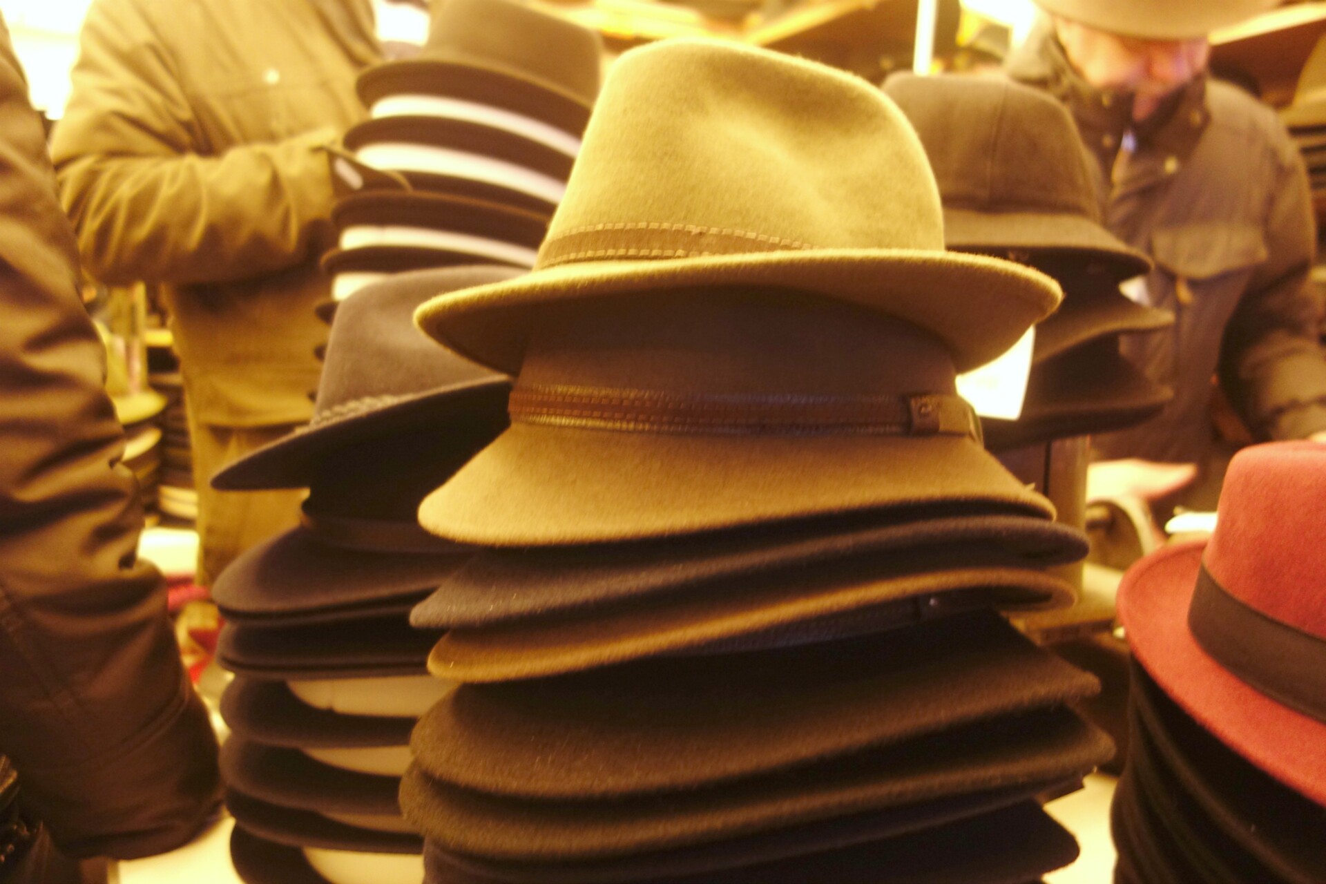 Wonderful Winterhat