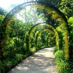 Blomsteralle i Botanisk Have i Singapore