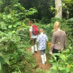 Khao Yai Forest in Thailand