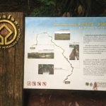 Nong Phak Chi Nature Trail in Khao Yai Forest Thailand