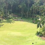 Skoleklasse der arbejder i Botanical Garden Singapore