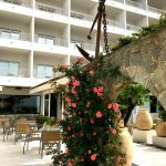 Hotel Terraza