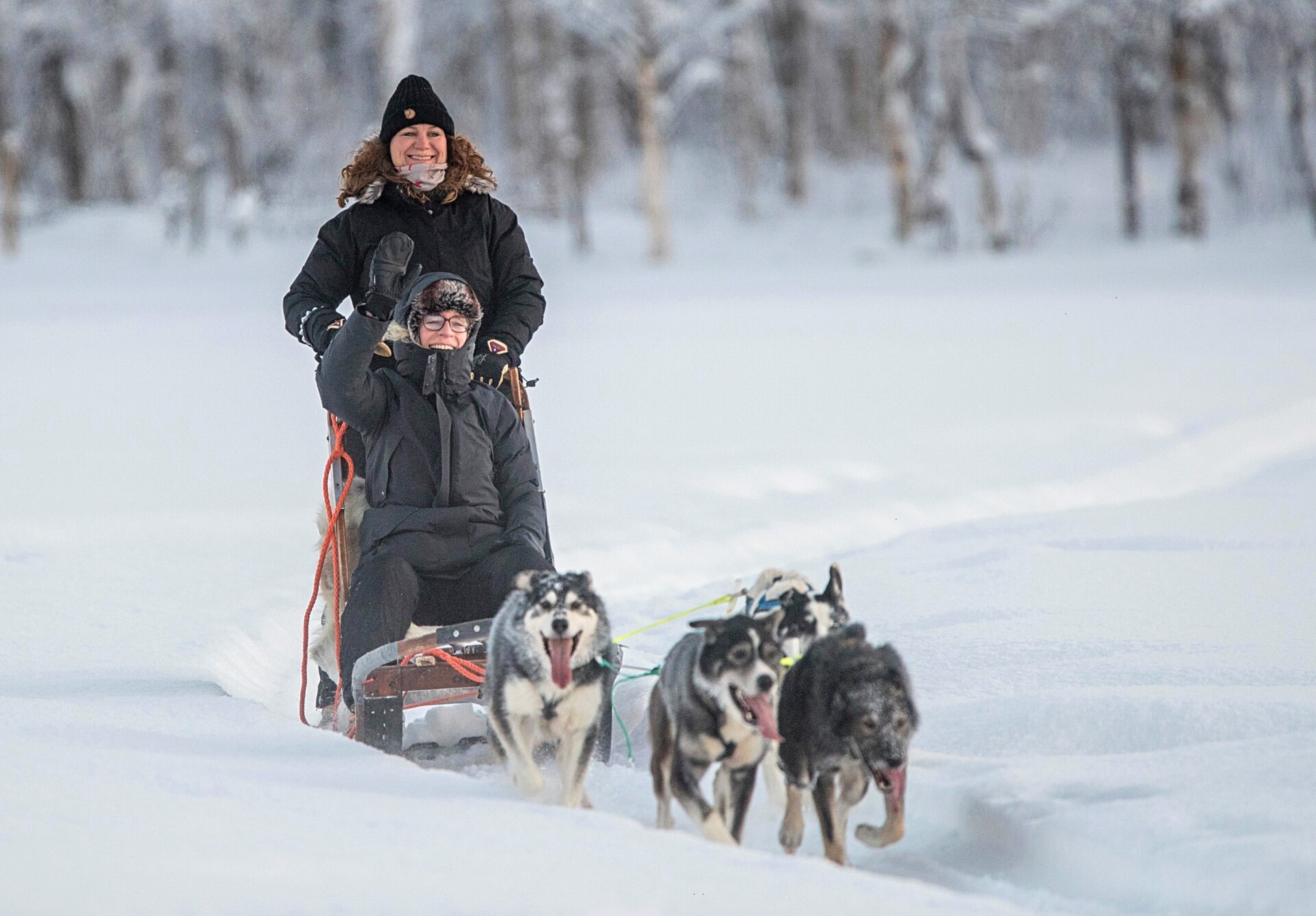 Hundeslædetur i Alta