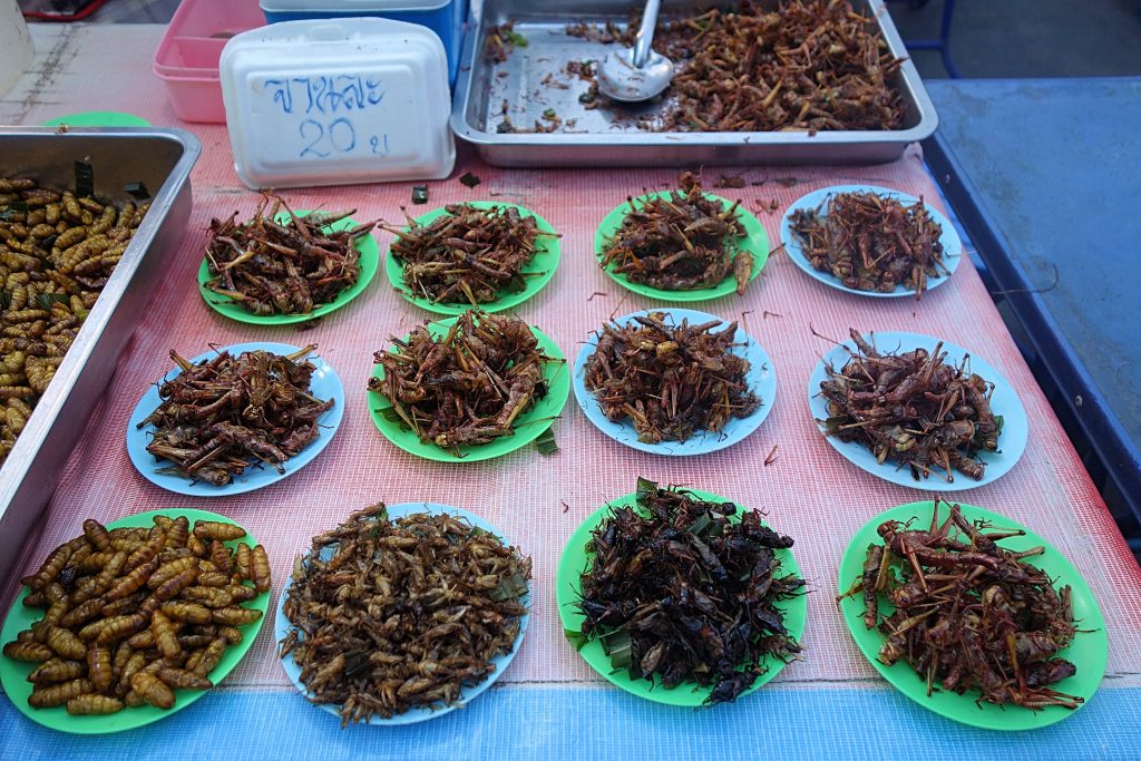 Stegte insekter på natmarket i Ayutthaya