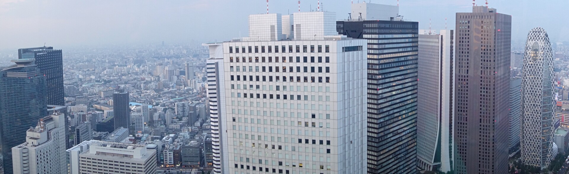 Tokyo skyline