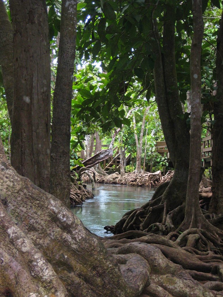Tha Pom Klong Song Nam kilde