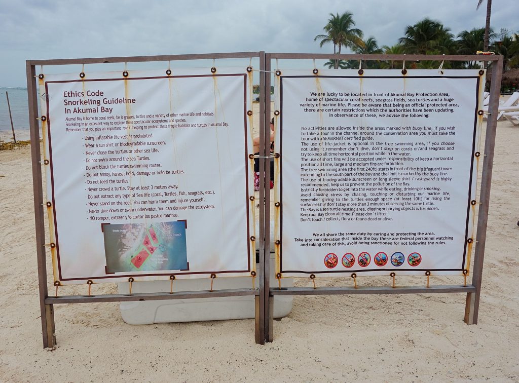 Akumal skildpadde paradis regler