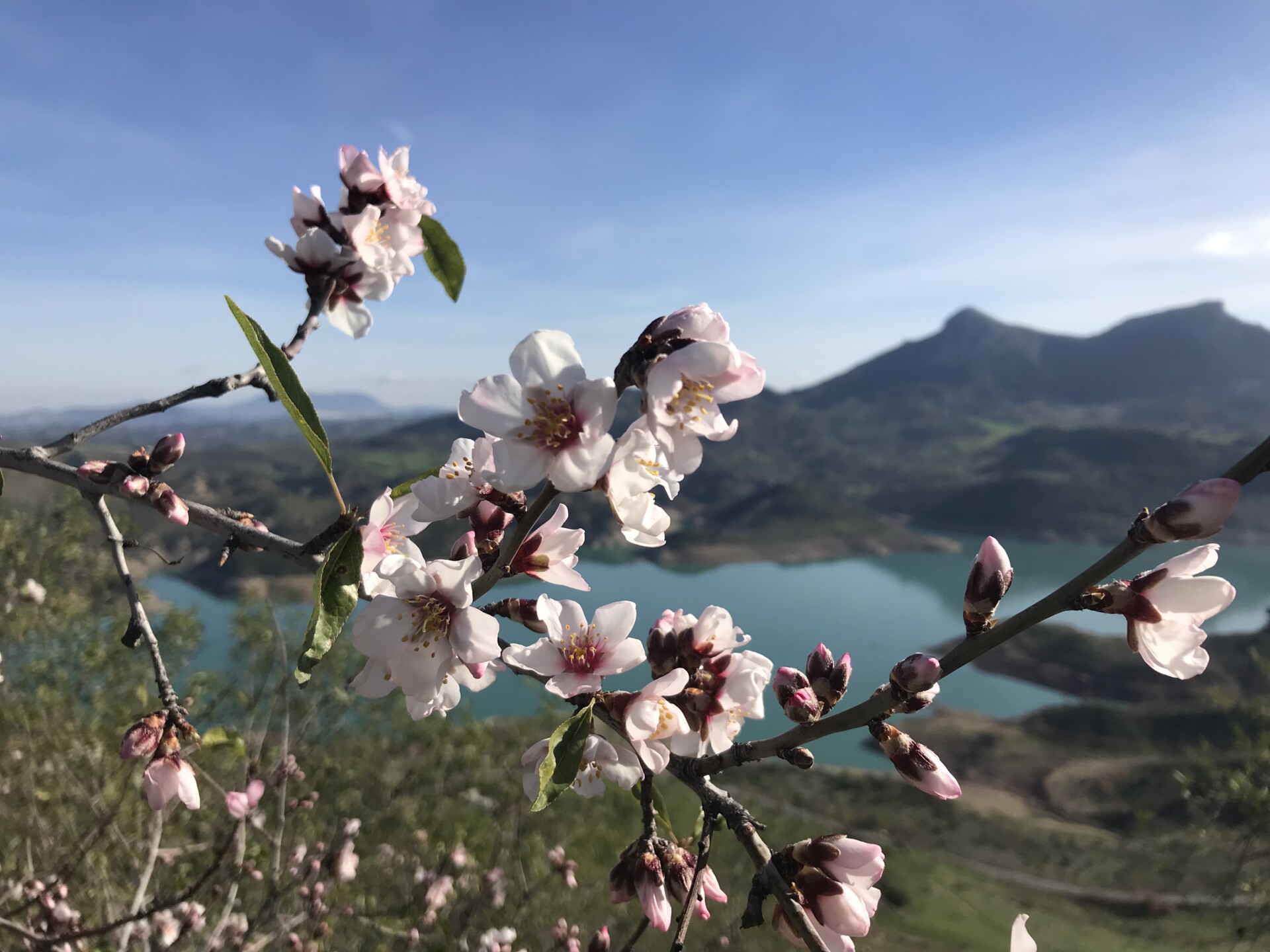 Zahara i Spanien