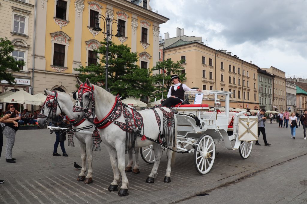 Hestevognskørsel på det gamle torv Rynek