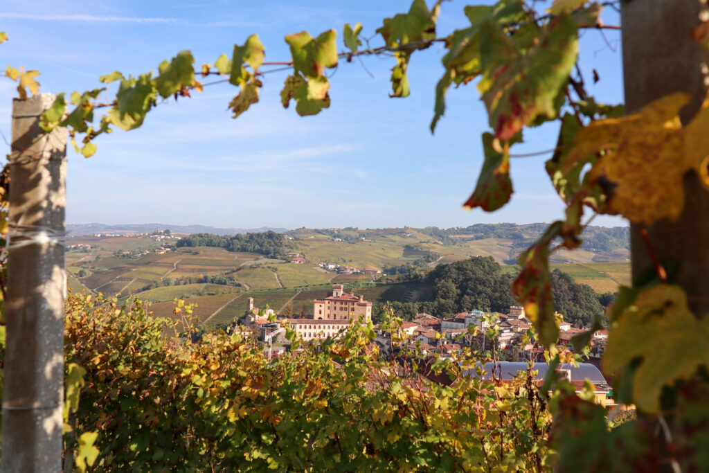 UNESCO World Heritage 2018 Langhe vinområde Italien