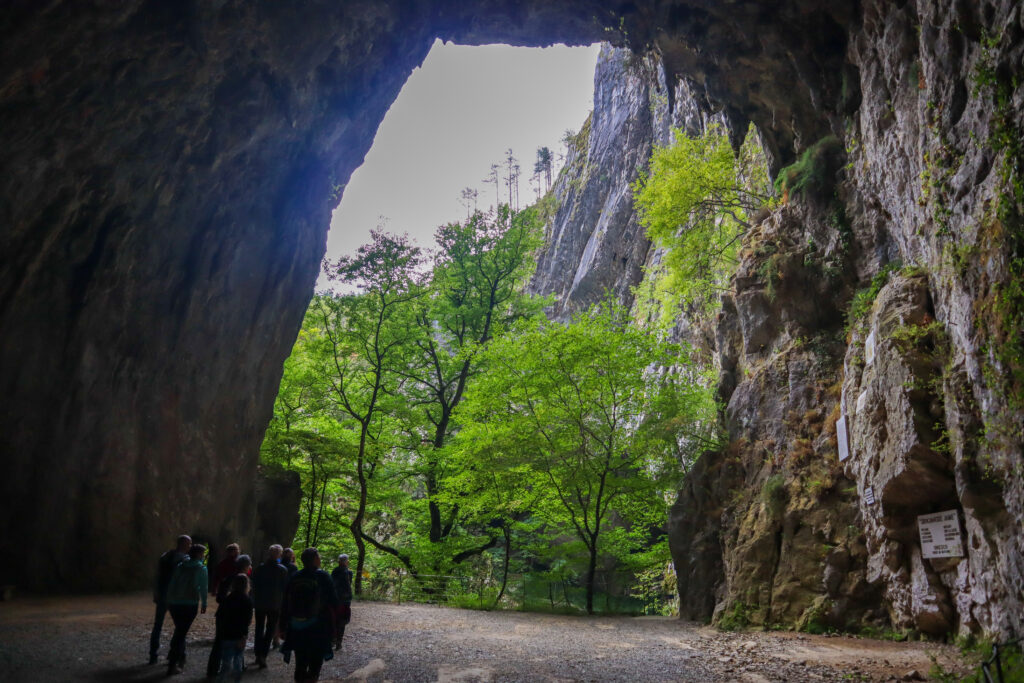 Skocjan Caves hule