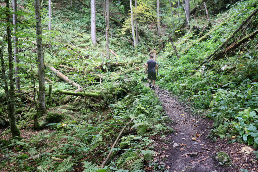 Vandreturen Pokljuka gorge