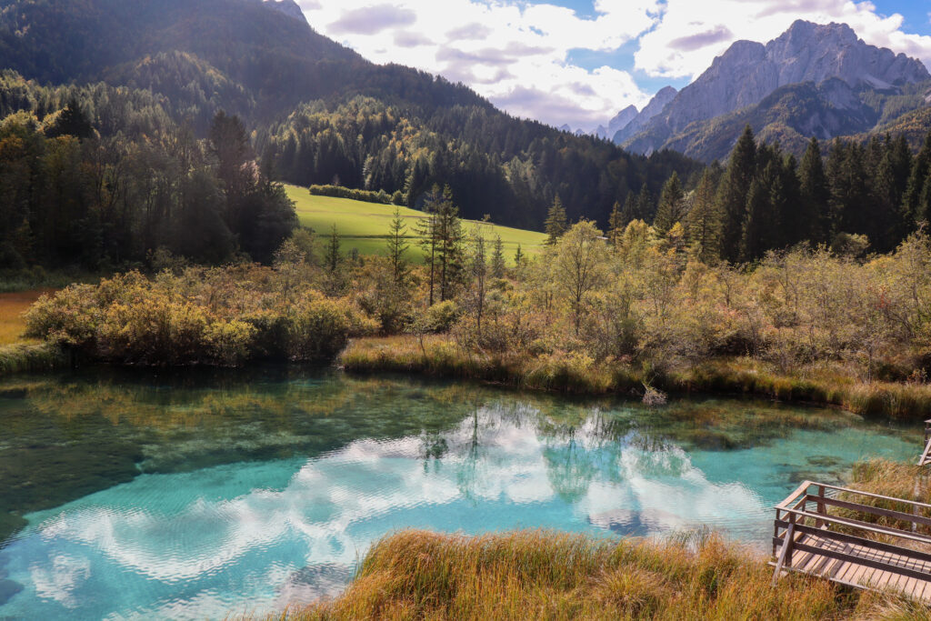 Zelenci Nature Reserve i de julianske alper