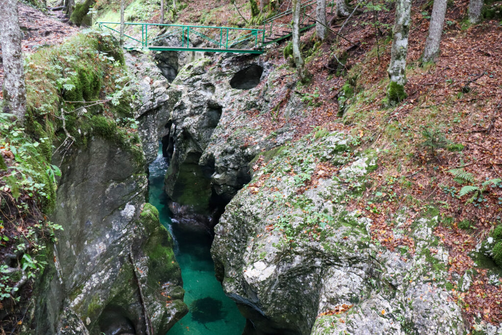 udflugt Mostnica Gorge