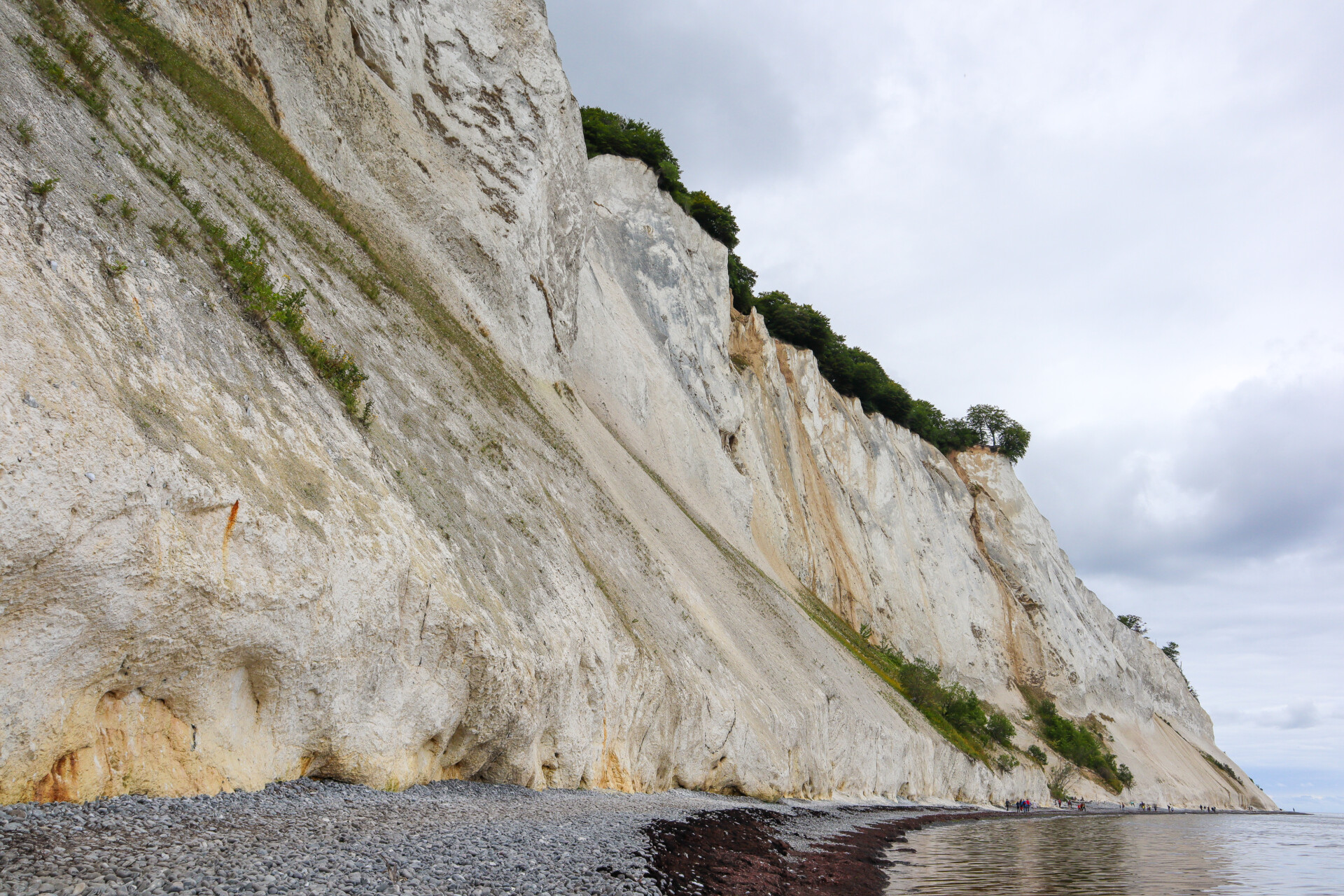 Vandretur ved Møns Klint – et af Danmarks smukkeste naturfænomener