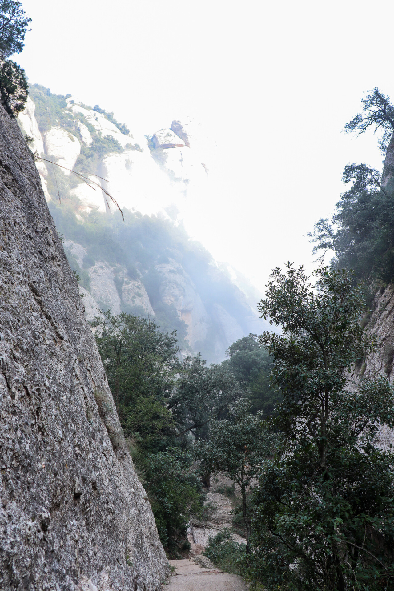 Montserrat sti