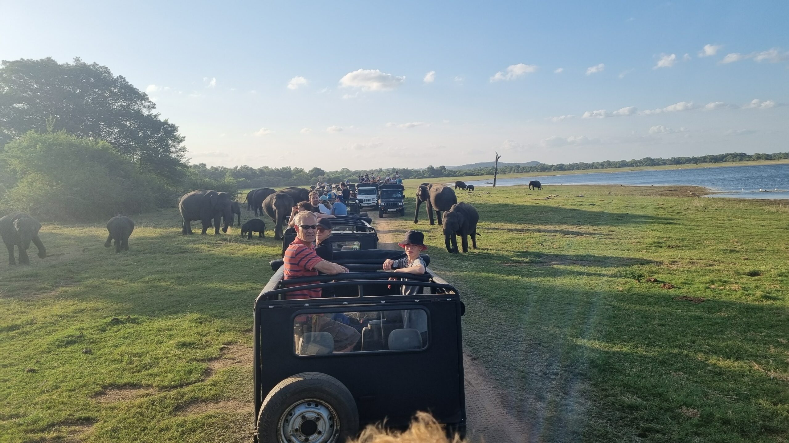 tusindvis af jeeps på safari på sri lanka